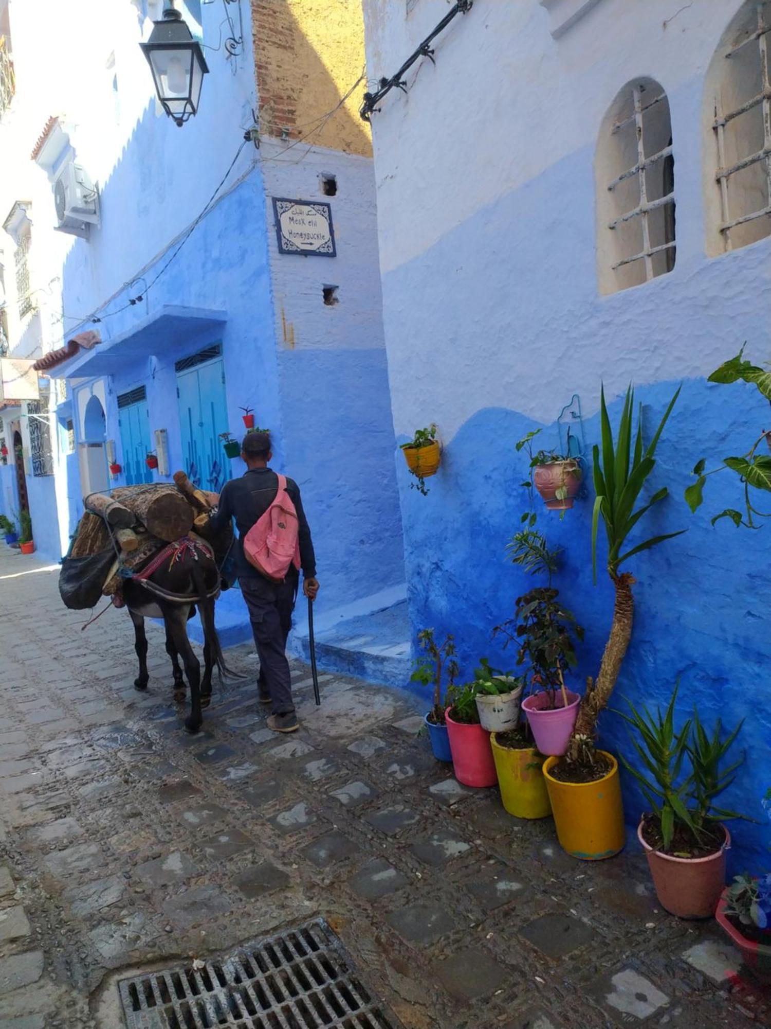 Hotel Honey Suckle Chefchaouen Exterior foto